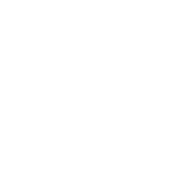 big bear